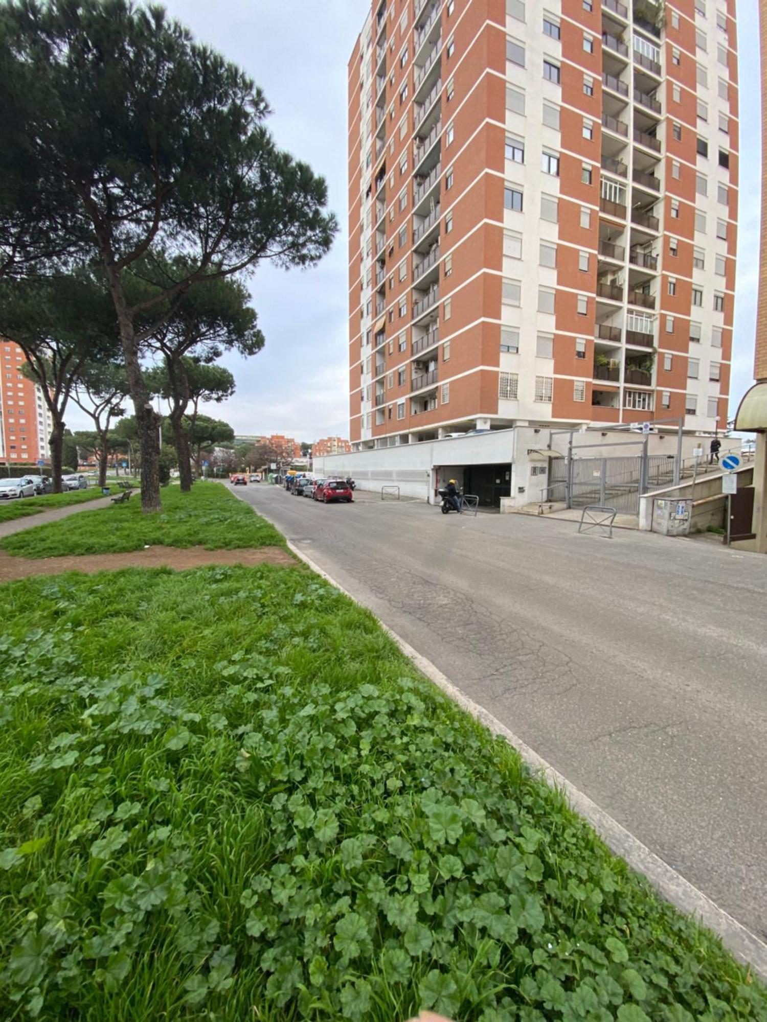 Apartamento Spacious In Rome!